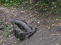 XR 22.08.2006 006